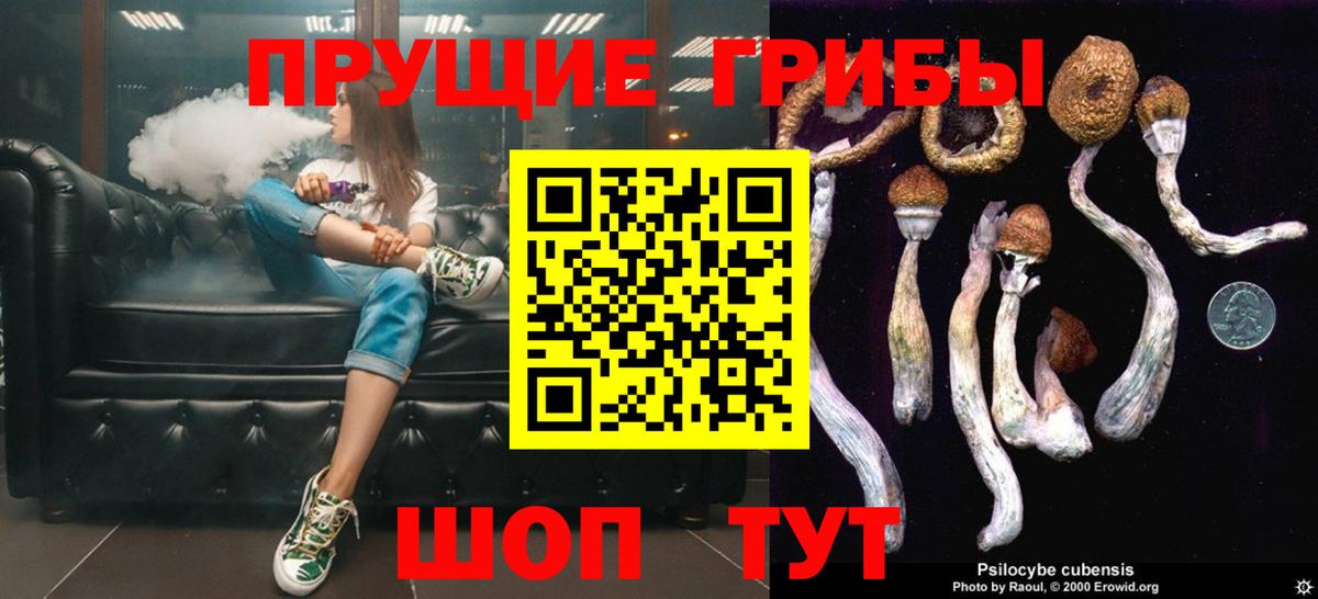 Псилоцибиновые грибы Magic Shrooms  Псилоцибиновые грибы Psilocybe  Новодвинск  Вход с VPN 